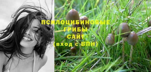экстази Абаза