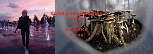 экстази Абаза