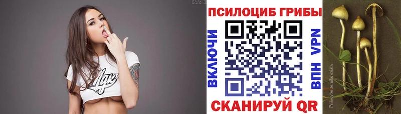 Галлюциногенные грибы Magic Shrooms  Миллерово 